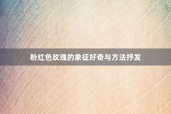 粉红色玫瑰的象征好奇与方法抒发